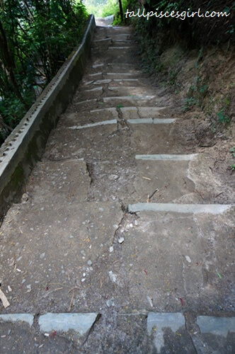 Staircase leading to the waterfall