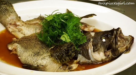 Steamed Tiger Garoupa with Bean Curd and Soy Sauce (鲜竹清蒸老虎斑)