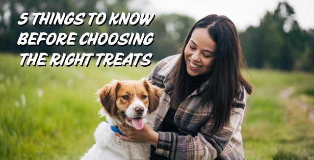 Cover photo - 5 Things to Know Before Choosing the Right Treats for Your Dogs and Cats